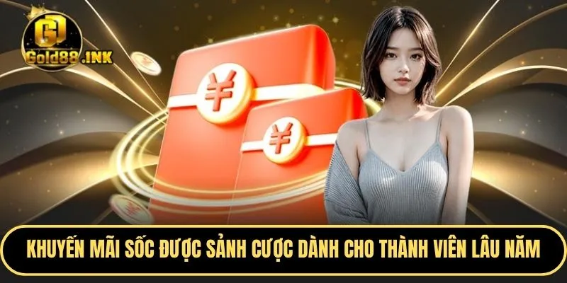 Chương trình khuyến mãi sốc được sảnh cược dành cho thành viên lâu năm